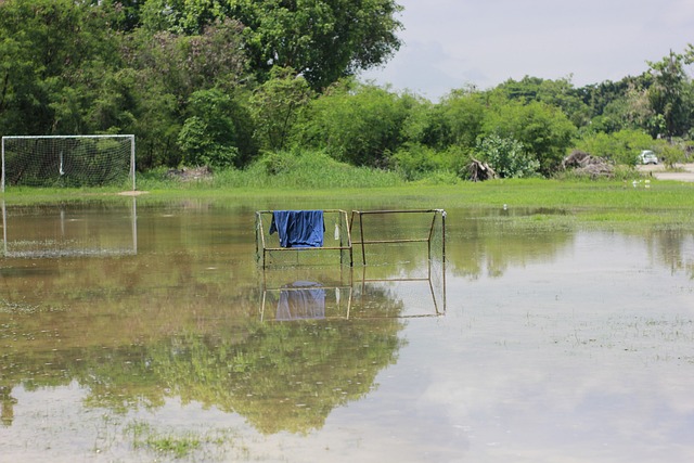 這主要得益 這主要得益