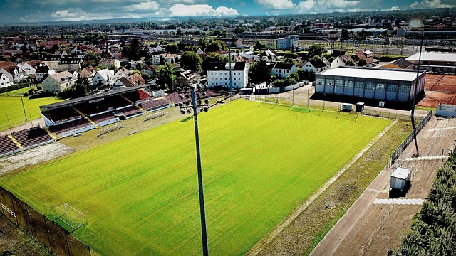 闪耀的表现 闪耀的表现