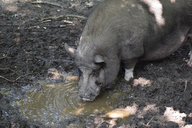 情與創意為 情與創意為