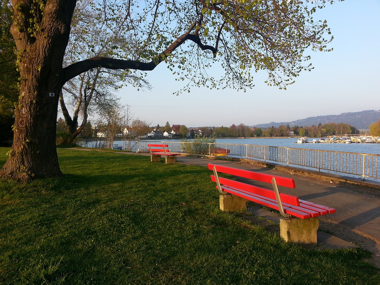 困境不仅仅 困境不仅仅