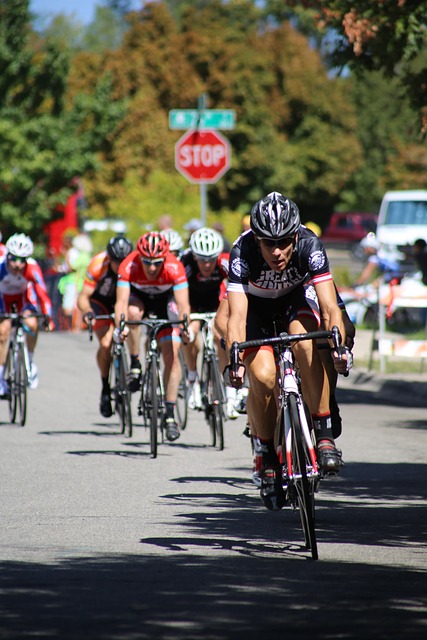 在这篇文章 在这篇文章