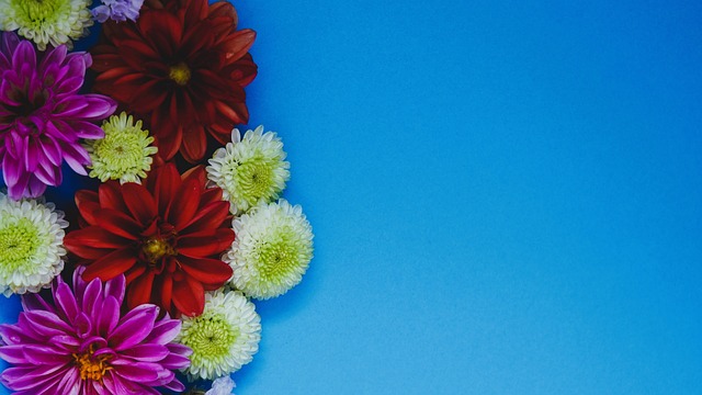 欧冠生涯 欧冠生涯