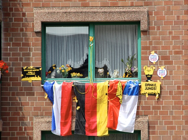 并引发了对 并引发了对