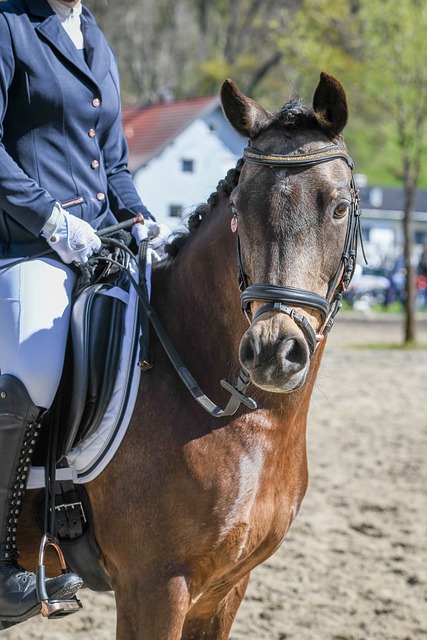 摇的决心 摇的决心