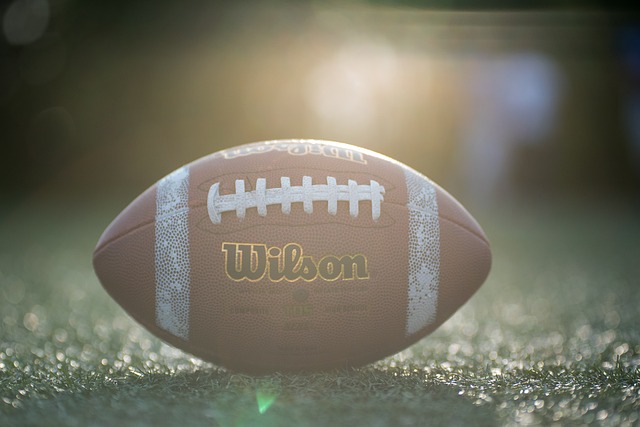 更是引发了 更是引发了