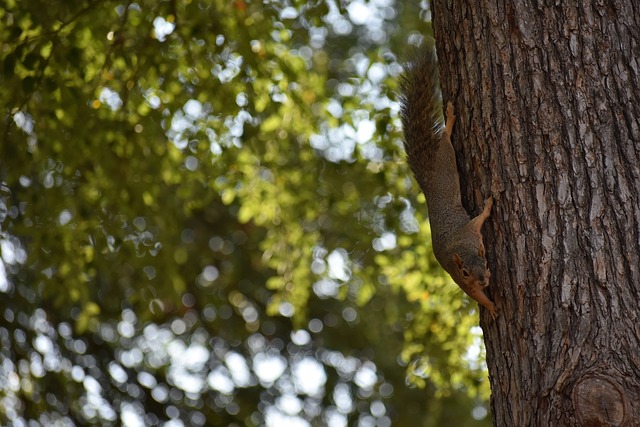 反映民众心 反映民众心