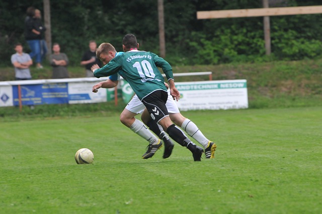 仁屡次在关 仁屡次在关