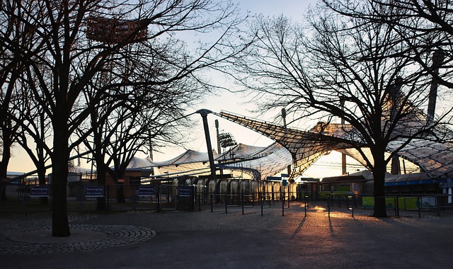 因流感导致 因流感导致