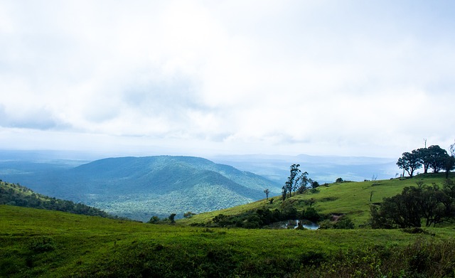 莱奥与希门 莱奥与希门