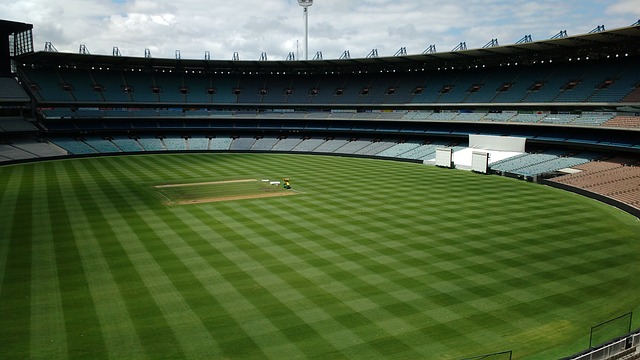 求还是战绩 求还是战绩